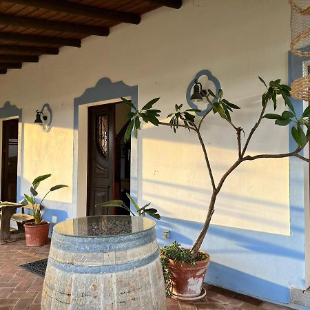 Villa Aproveite O Sabor Do Alentejo Vila Verde de Ficalho Exterior foto