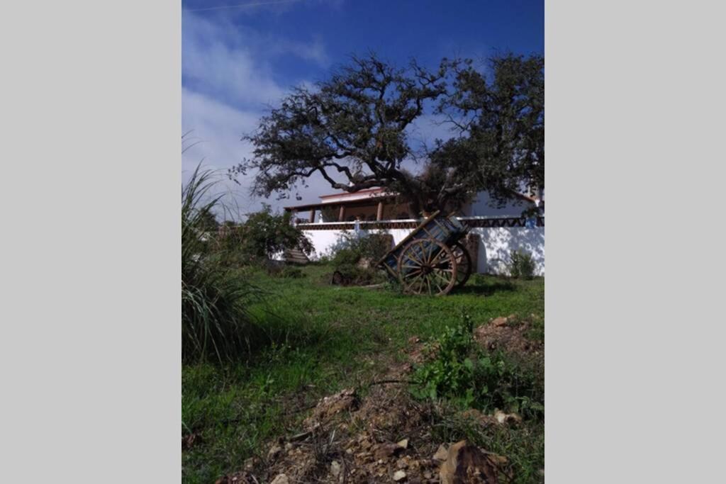 Villa Aproveite O Sabor Do Alentejo Vila Verde de Ficalho Exterior foto