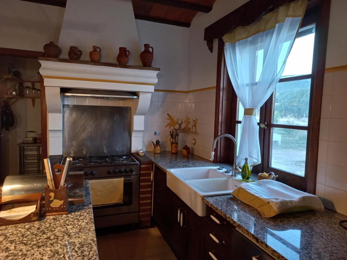 Villa Aproveite O Sabor Do Alentejo Vila Verde de Ficalho Exterior foto