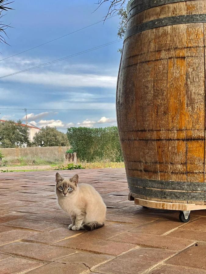 Villa Aproveite O Sabor Do Alentejo Vila Verde de Ficalho Exterior foto